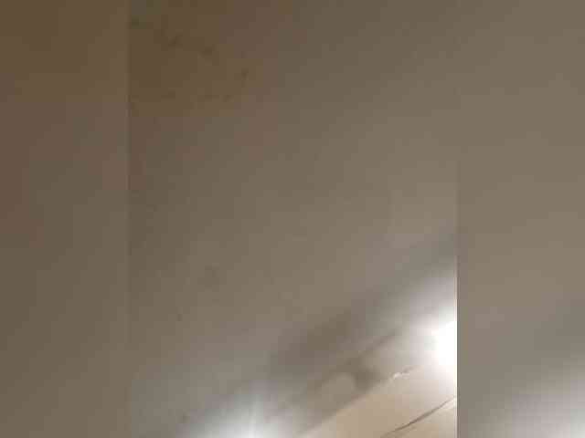 RoxySexy webcam