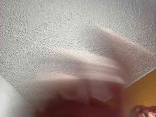 Valen2you webcam