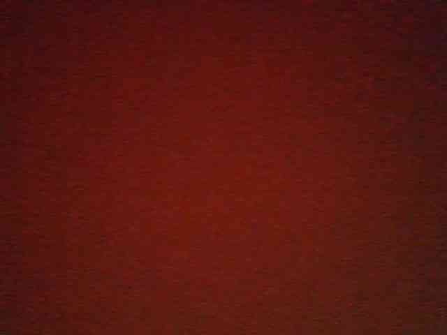 ninie1a webcam