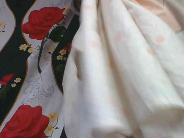 ninie1a webcam