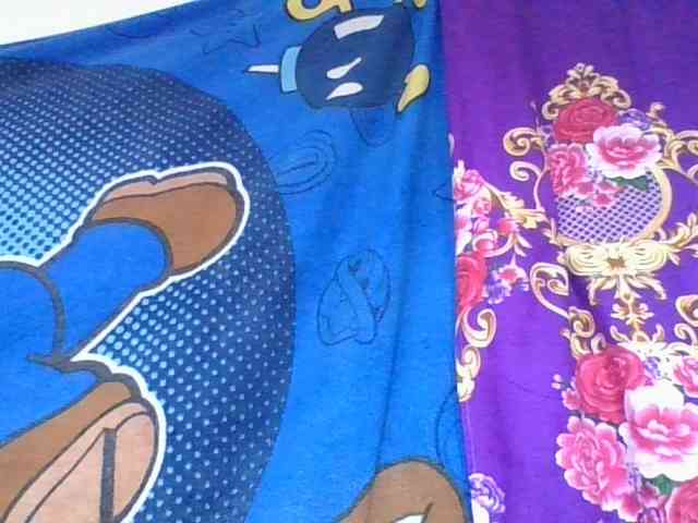 ninie1a webcam