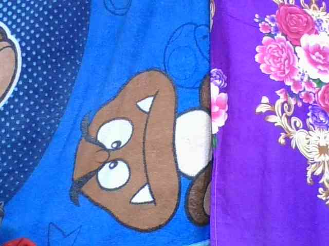 ninie1a webcam