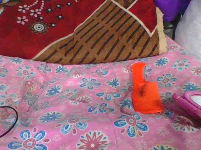 ninie1a webcam