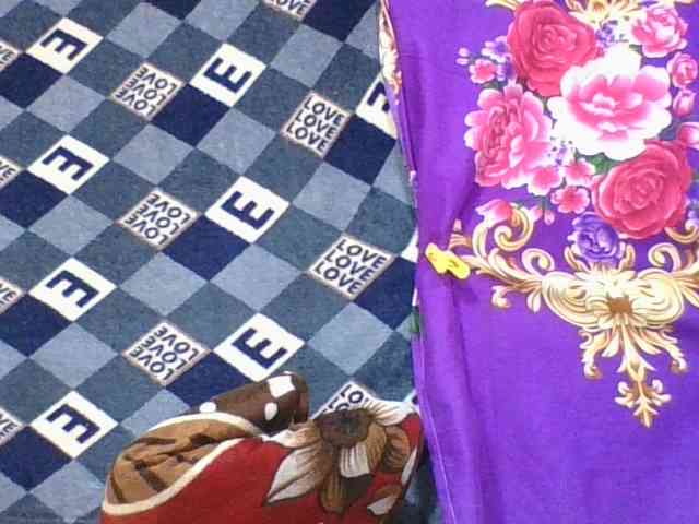 ninie1a webcam