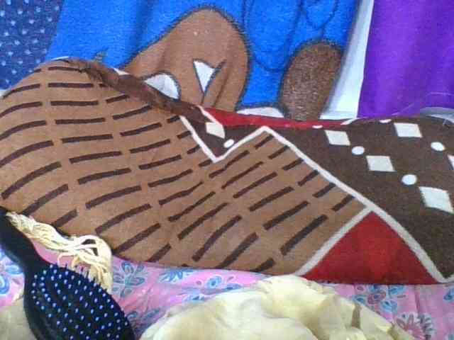 ninie1a webcam