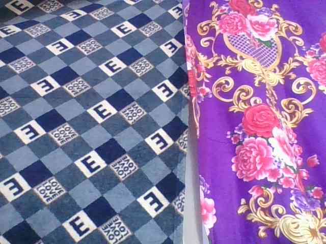 ninie1a webcam