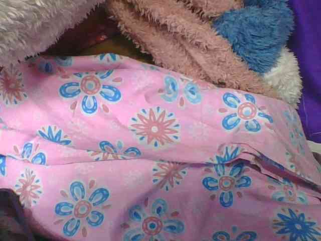 ninie1a webcam