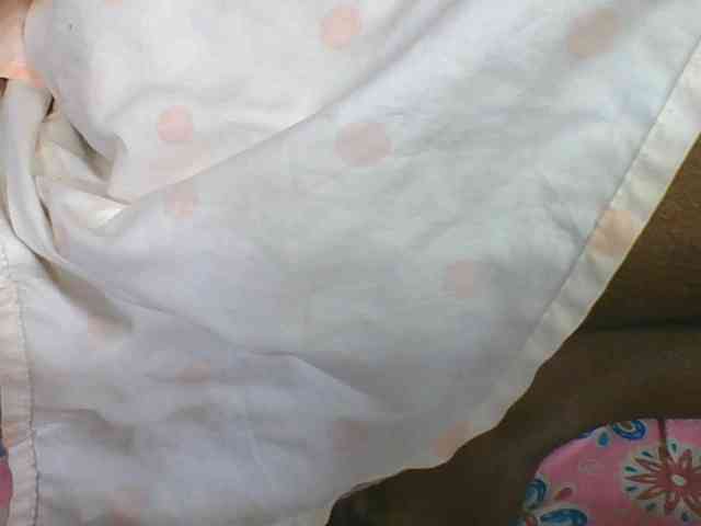 ninie1a ninie1a