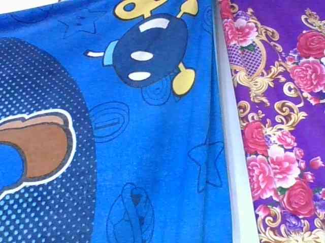 ninie1a webcam