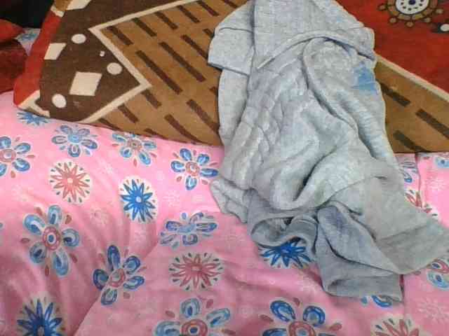 ninie1a webcam