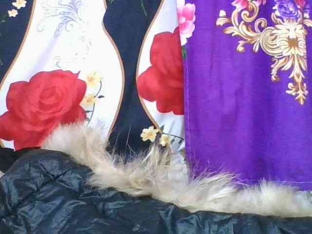 ninie1a