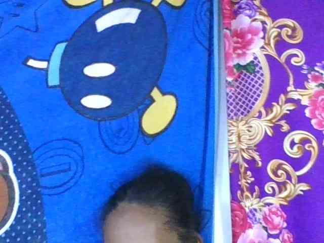 ninie1a webcam