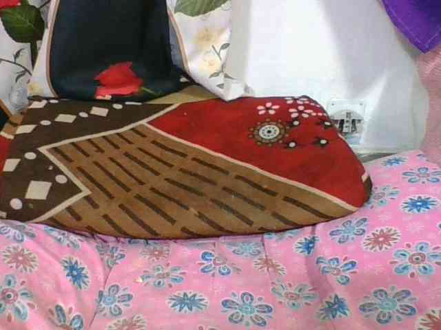 ninie1a webcam