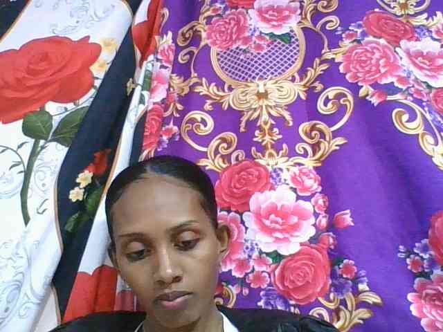 ninie1a webcam