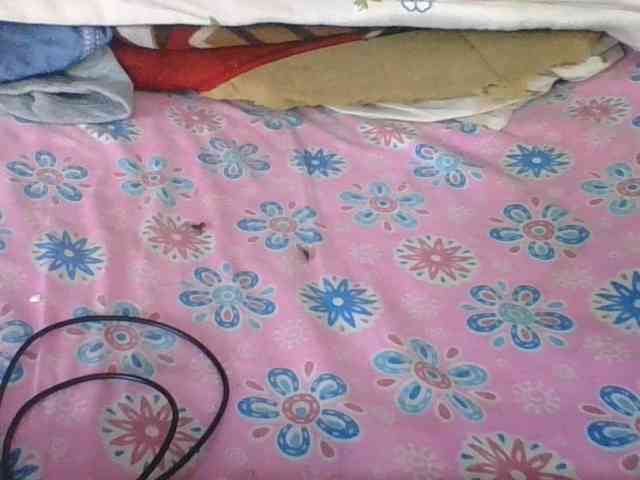 ninie1a webcam