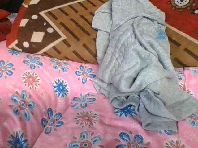ninie1a webcam