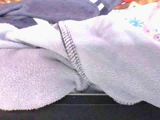 ninie1a webcam