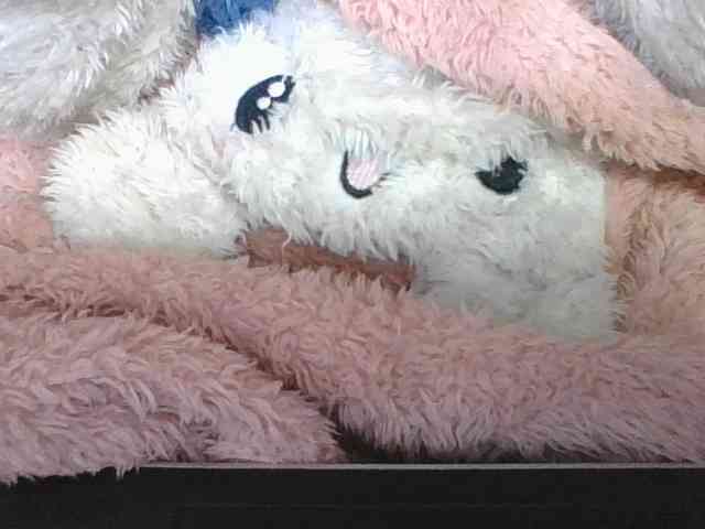 ninie1a webcam