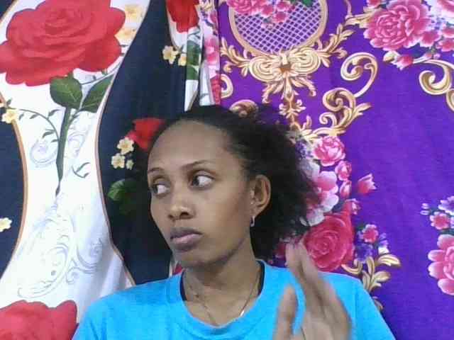 ninie1a webcam