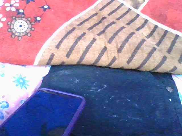 ninie1a webcam