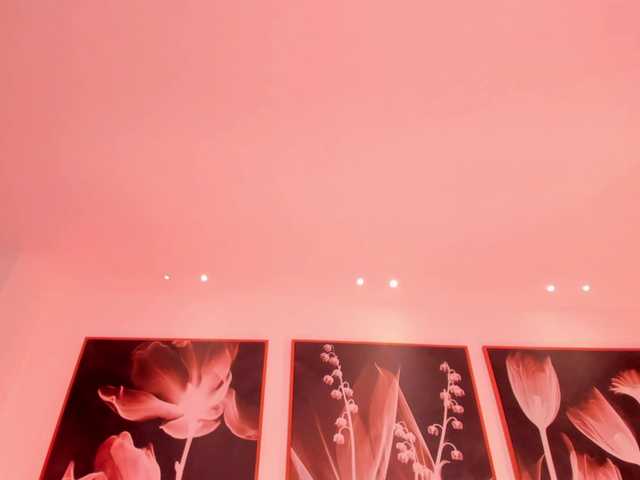 MiaSilvaX Cam en direct sur BongaCams