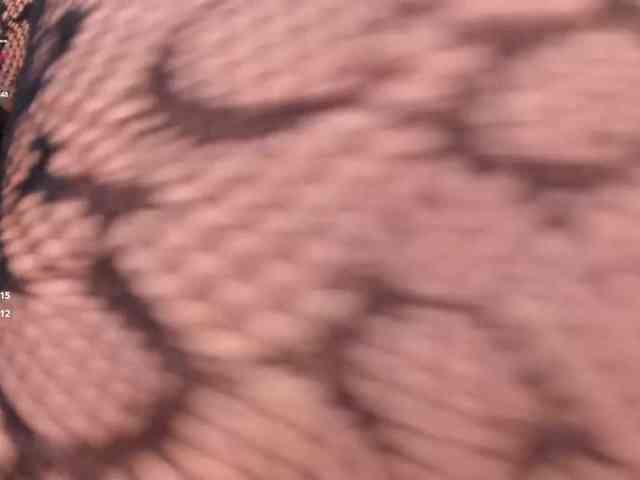 MiaSilvaX webcam