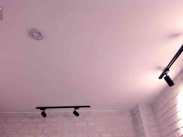 PaulineSanz webcam