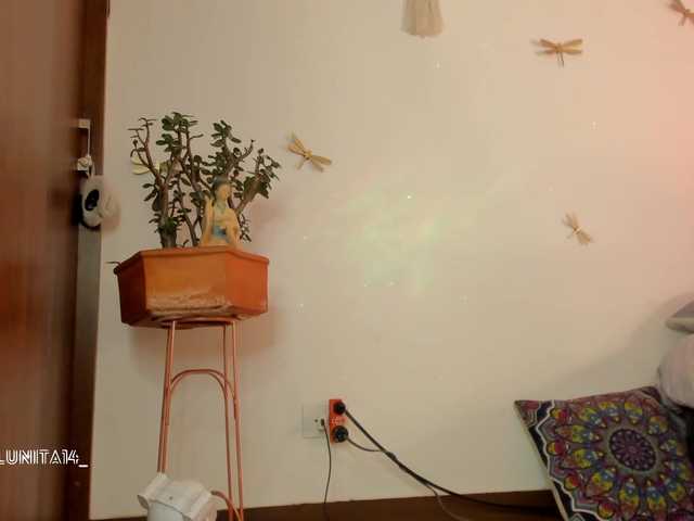 Princess-luna live cam on BongaCams
