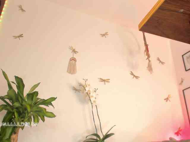 Princess-luna webcam