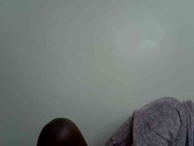 ZuriSecrets webcam