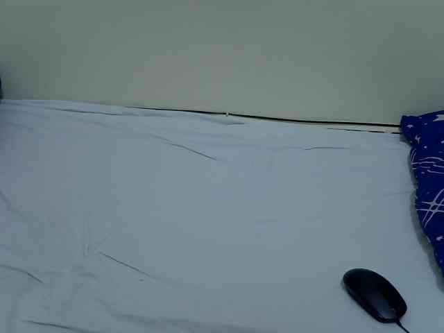 ZuriSecrets webcam
