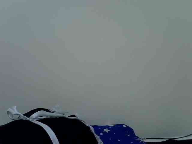ZuriSecrets webcam