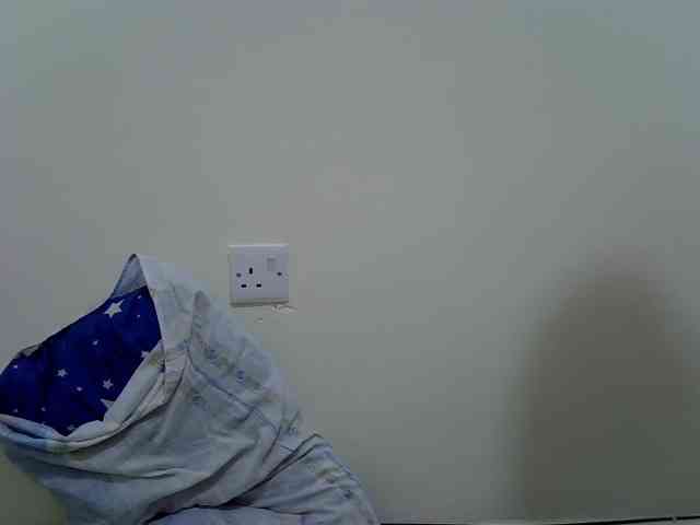 ZuriSecrets webcam
