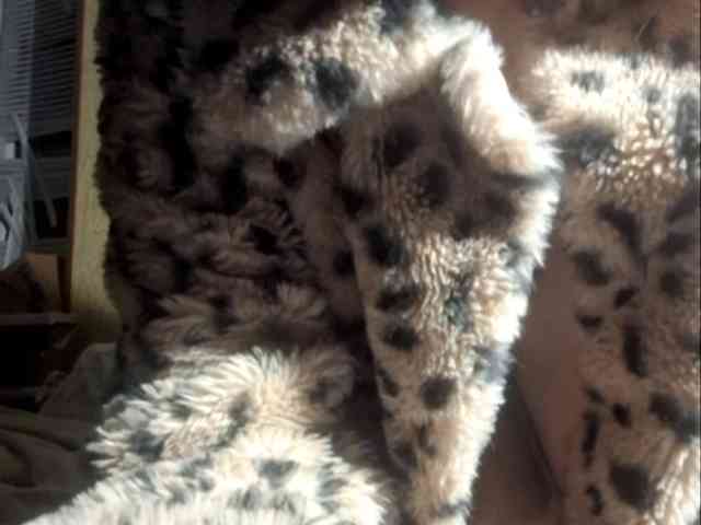 Deadlynighshade6 webcam