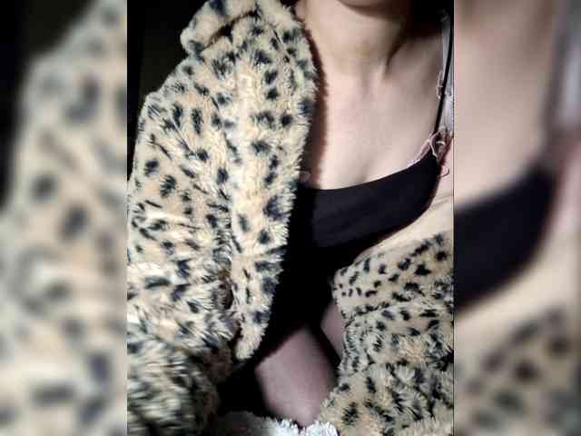 Laydown2