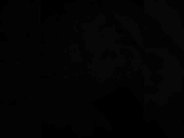 Kristalikkisa-1 webcam