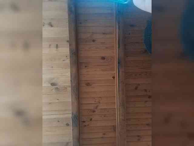 Dreamlove8 webcam