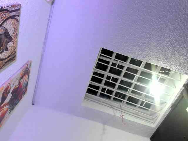 Naniis-wish webcam