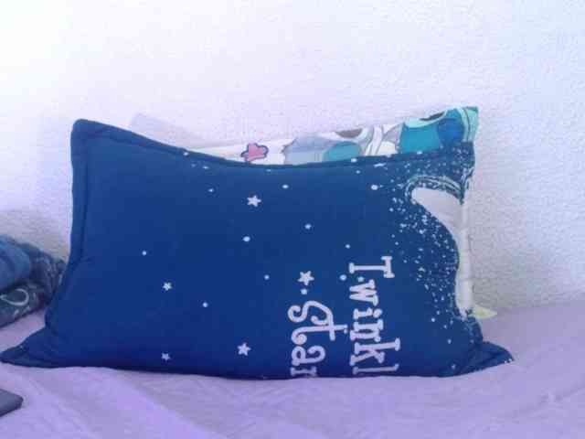 Naniis-wish webcam