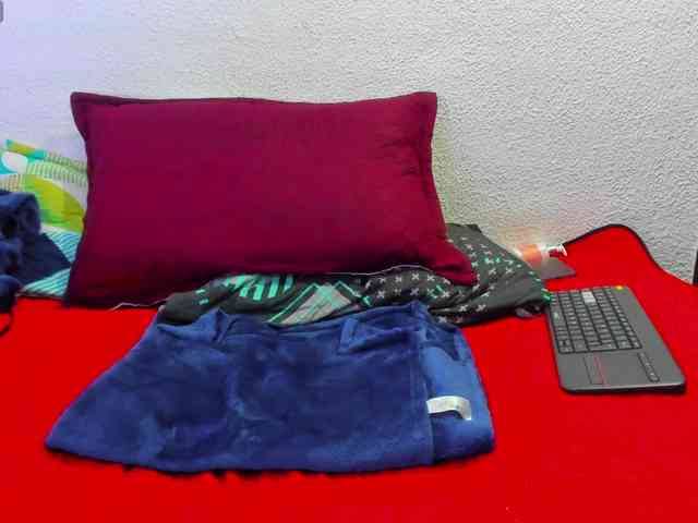 Naniis-wish webcam