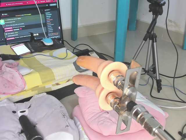 Anal78paulini