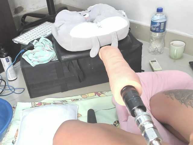 Anal78paulini