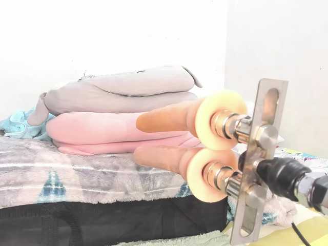 Anal78paulini