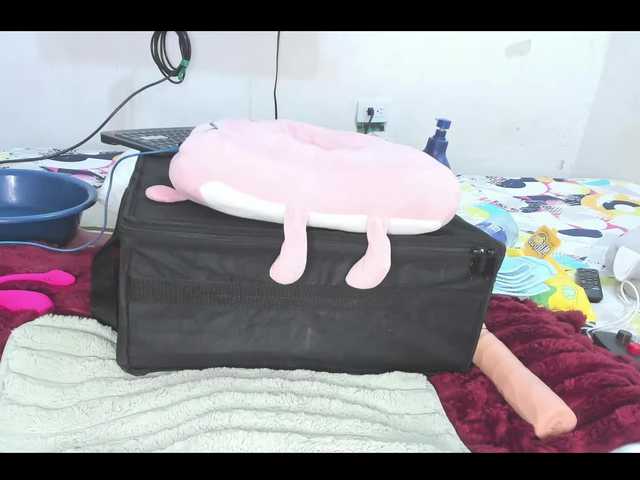 Anal78paulini