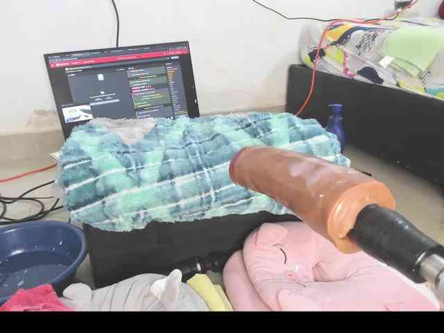 Anal78paulini