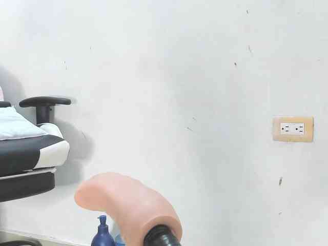 Anal78paulini