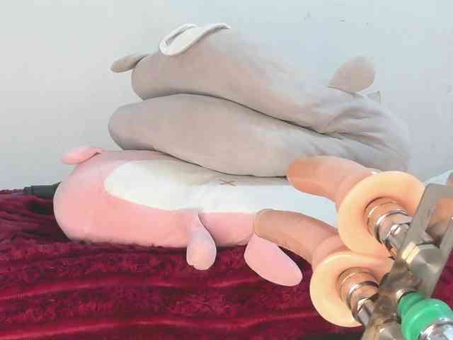 Anal78paulini