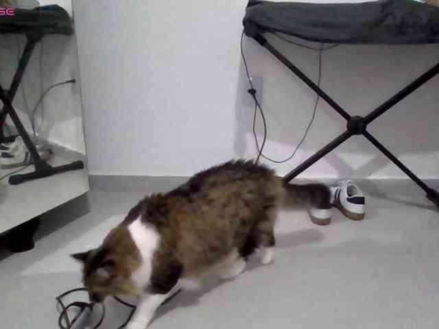 baby-is-bored webcam