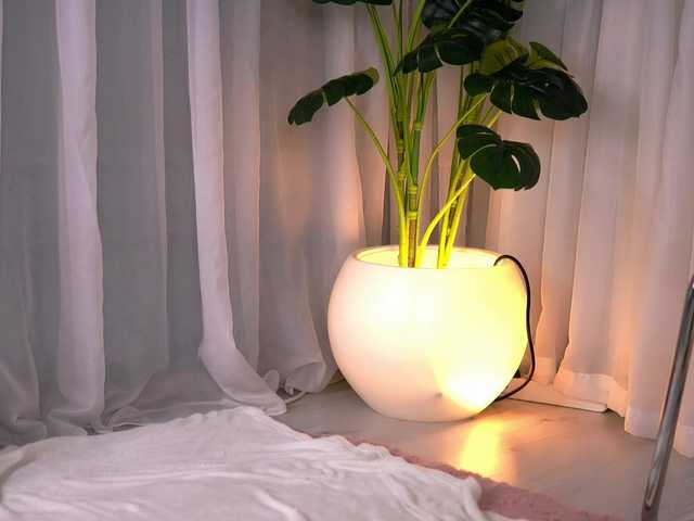 SweetAuraaa live webcam show