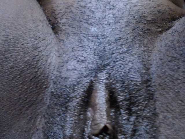 KittySexxy live cam on BongaCams